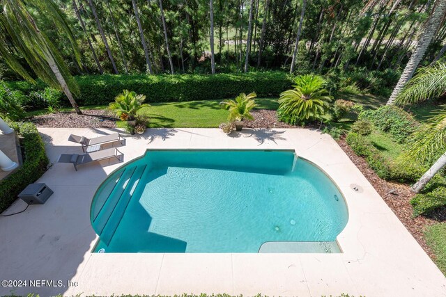 view of pool with a patio