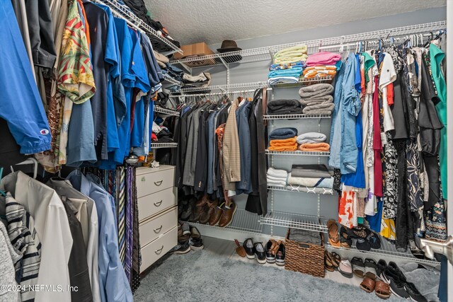 spacious closet with carpet flooring