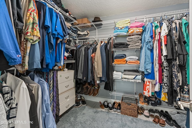 walk in closet with carpet