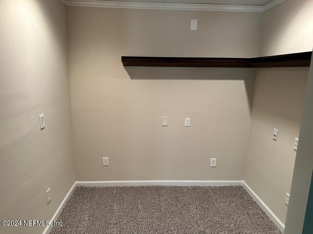 clothes washing area with ornamental molding and carpet floors