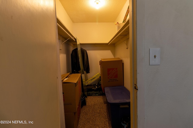 walk in closet with carpet flooring