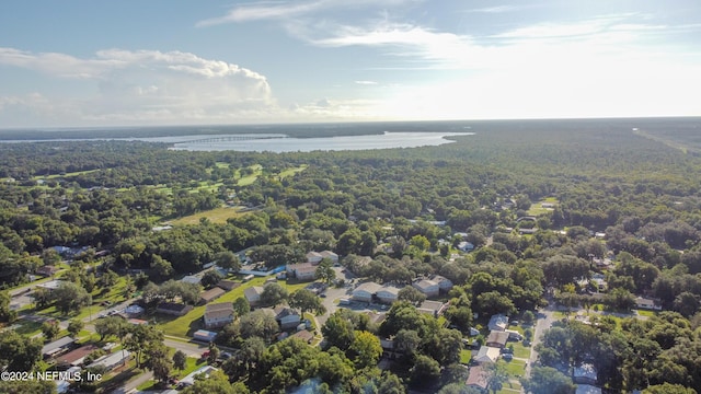 aerial view featuring a water view and a view of trees