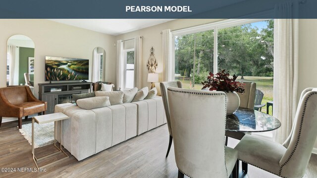 living room featuring wood finished floors