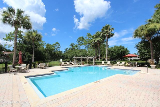 view of pool featuring a patio area