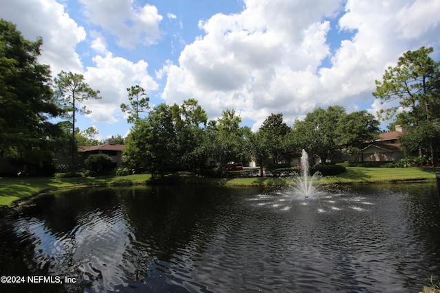 view of water feature