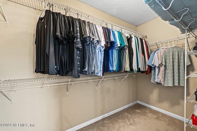 walk in closet featuring carpet