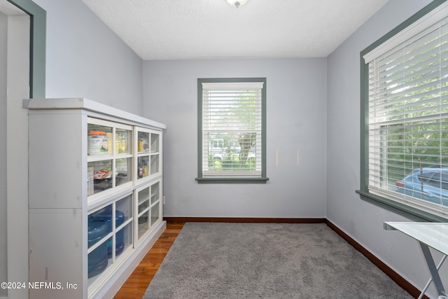 spare room featuring wood-type flooring and a textured ceiling