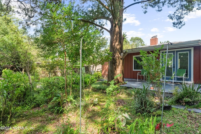 view of yard featuring a patio