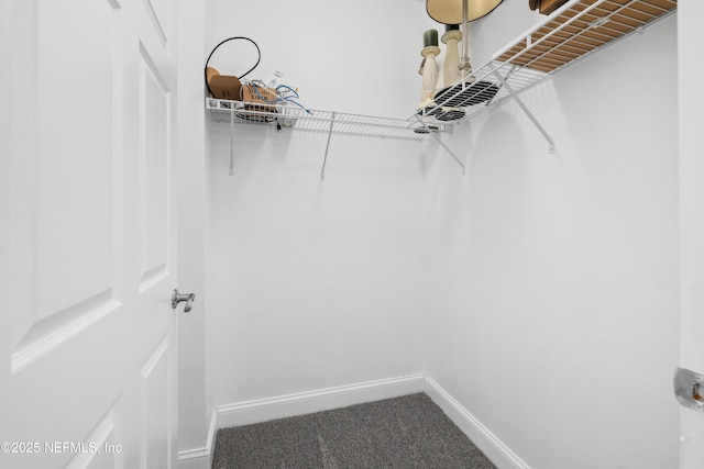 walk in closet with carpet floors