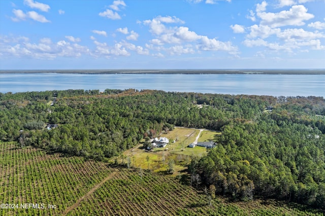 birds eye view of property with a water view and a rural view