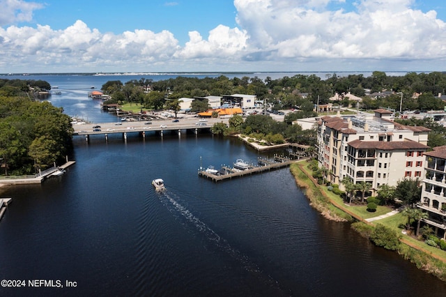 aerial view with a water view