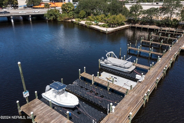 view of dock with a water view and boat lift