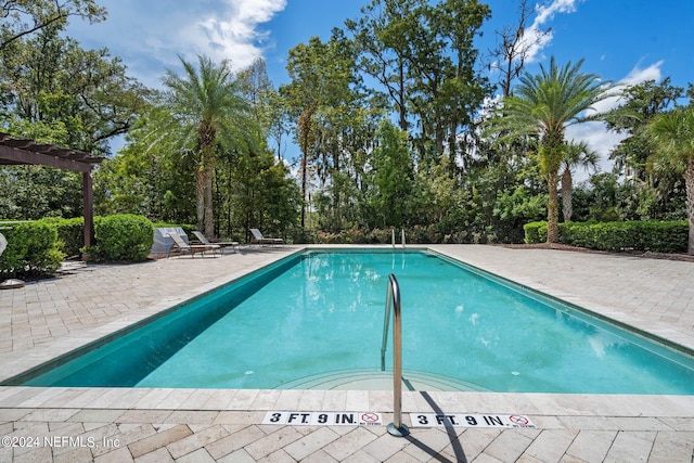 view of pool featuring a patio