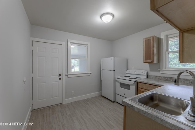 kitchen with white appliances, a healthy amount of sunlight, sink, and light hardwood / wood-style floors