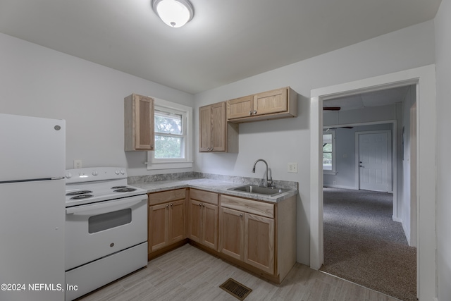 kitchen featuring light colored carpet, sink, light brown cabinets, and white appliances