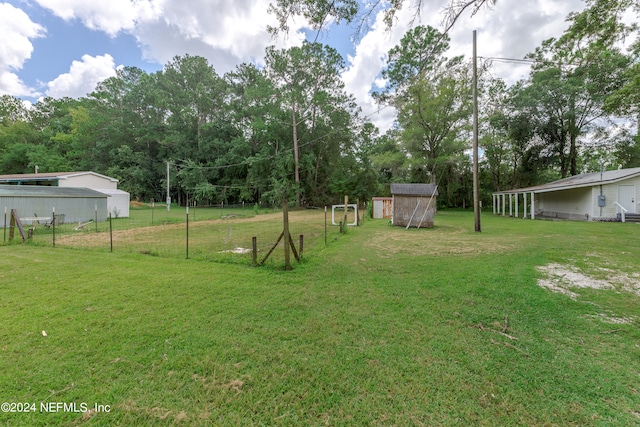 view of yard with a storage unit