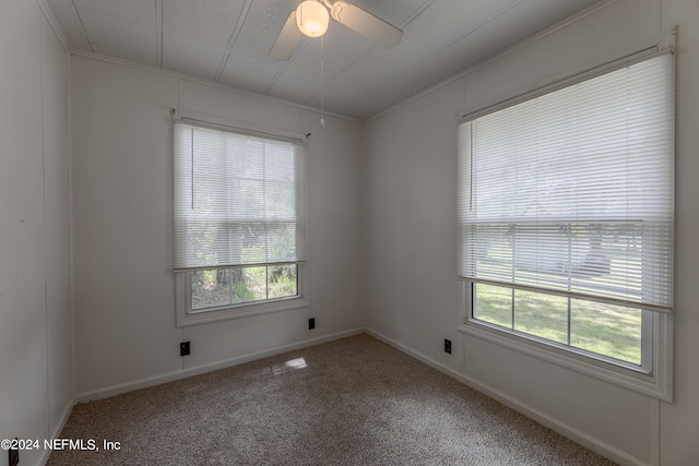 carpeted spare room featuring crown molding and ceiling fan