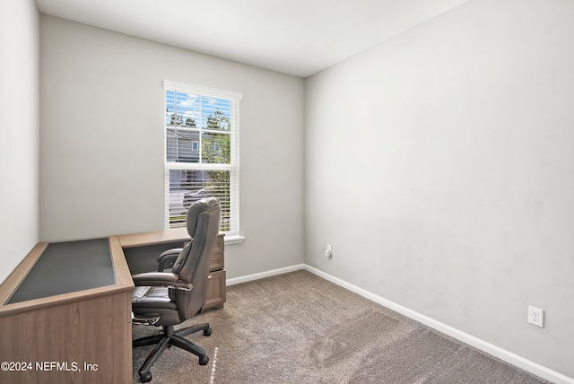 office space featuring carpet flooring