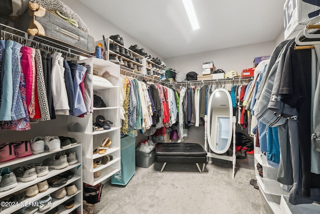 spacious closet with carpet