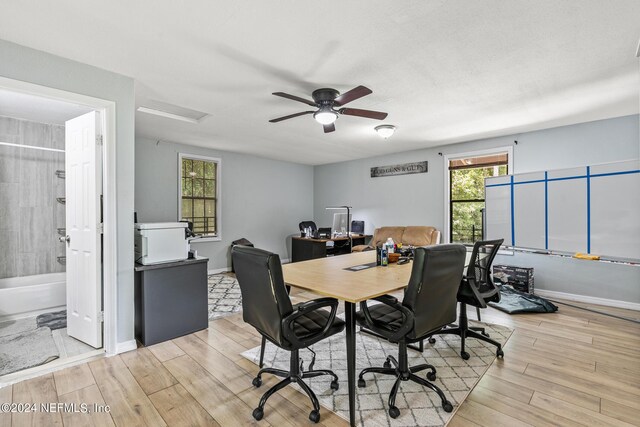 dining area featuring ceiling fan and light hardwood / wood-style floors