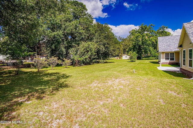 view of yard featuring a storage shed