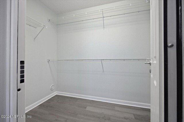 walk in closet featuring dark hardwood / wood-style floors