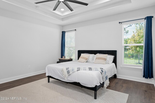 bedroom with a tray ceiling, multiple windows, dark hardwood / wood-style flooring, and ceiling fan