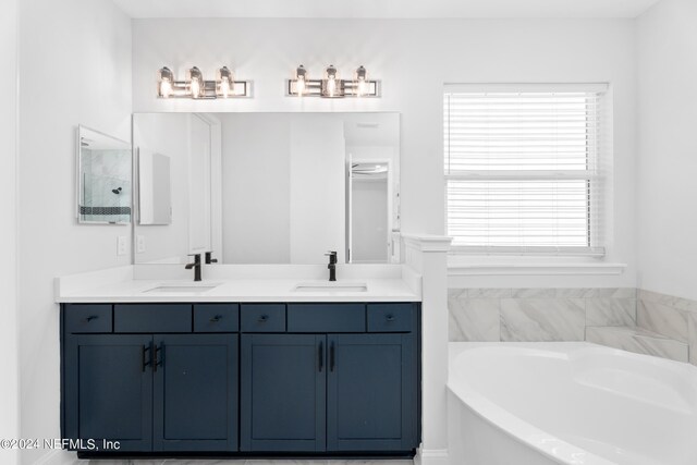 bathroom featuring vanity and a washtub