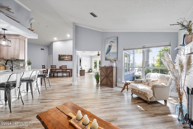 living room featuring crown molding, vaulted ceiling, light hardwood / wood-style flooring, and sink