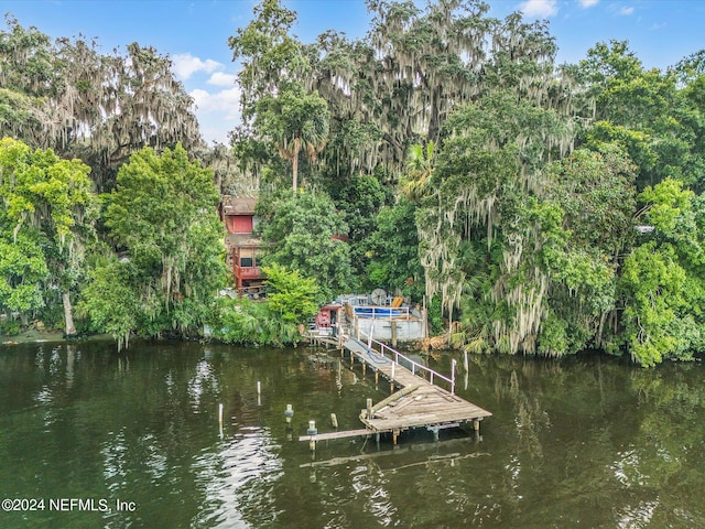 dock area featuring a water view