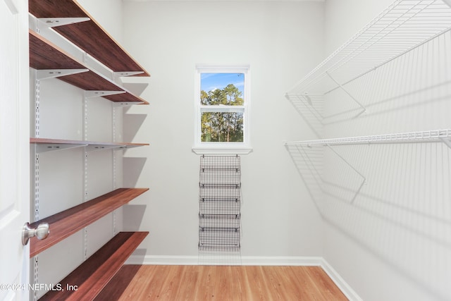 5231 Peggy Ln, Middleburg, FL 32068 - spacious closet featuring light wood-style floors