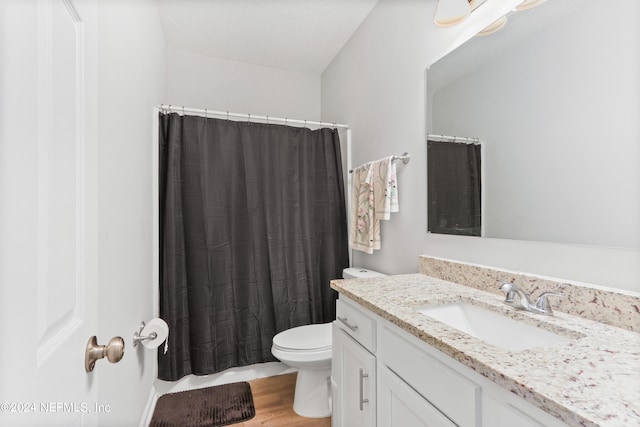 bathroom with vanity, walk in shower, toilet, and wood-type flooring