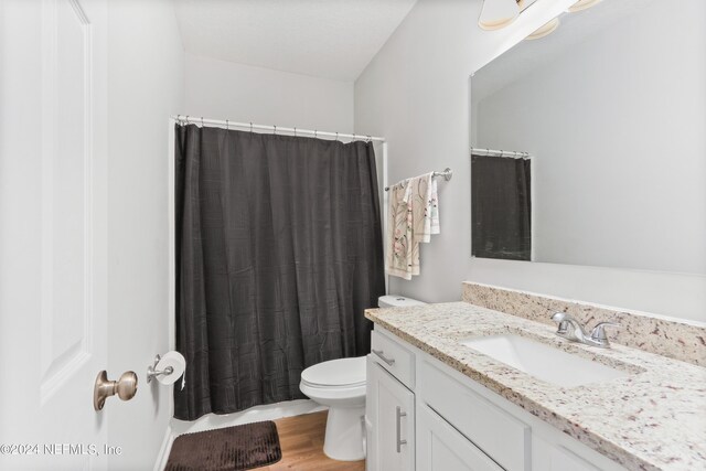 5231 Peggy Ln, Middleburg, FL 32068 - bathroom featuring toilet, vanity, wood finished floors, and curtained shower
