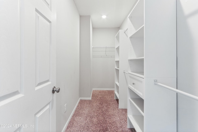 walk in closet with carpet floors