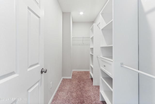 5231 Peggy Ln, Middleburg, FL 32068 - walk in closet featuring carpet