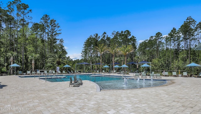 view of pool with a patio area