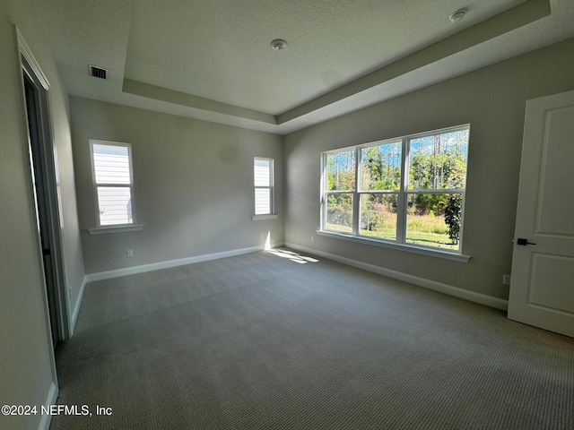 spare room featuring a tray ceiling, carpet floors, and a textured ceiling