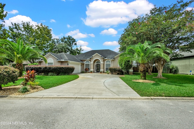 ranch-style home with a front yard