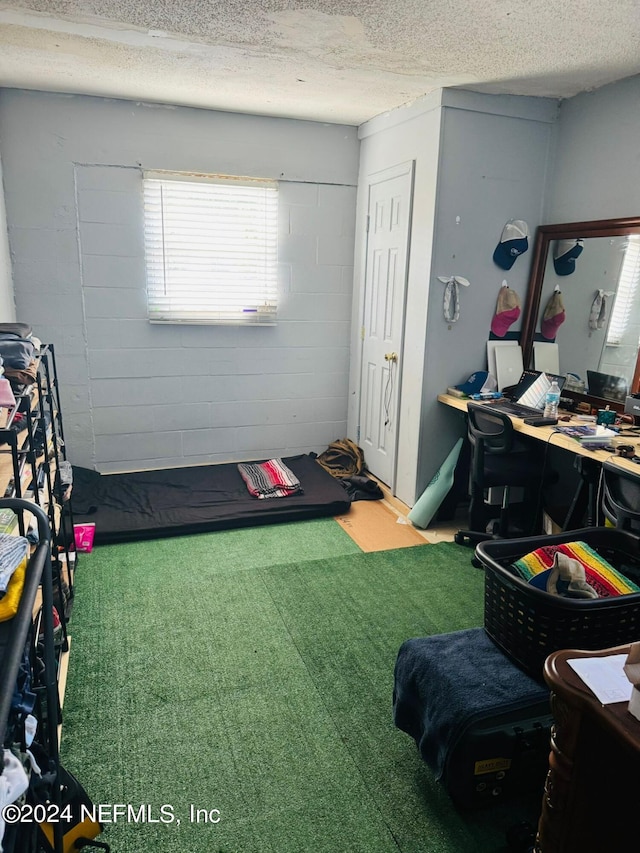 interior space featuring a textured ceiling and carpet floors