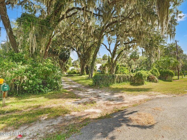 169 W Grandview Dr, East Palatka, FL 32131 - photo 6