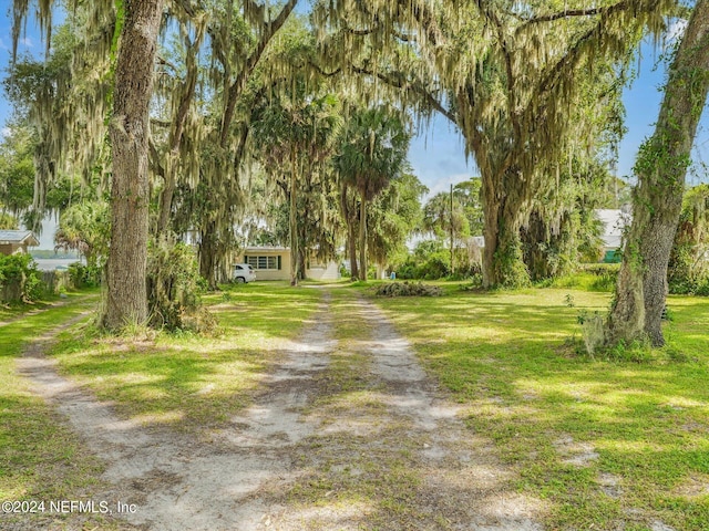 169 W Grandview Dr, East Palatka, FL 32131 - photo 3