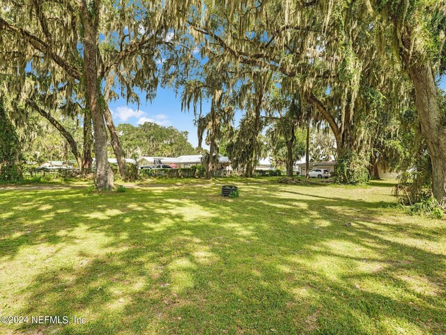 169 W Grandview Dr, East Palatka, FL 32131 - photo 17