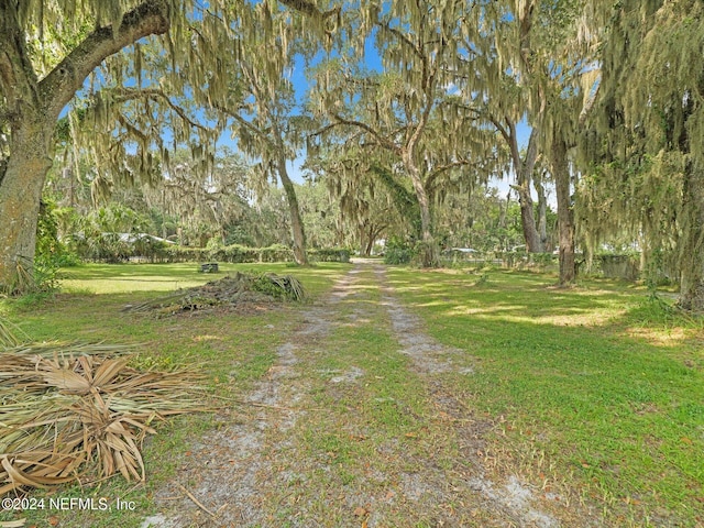 169 W Grandview Dr, East Palatka, FL 32131 - photo 4