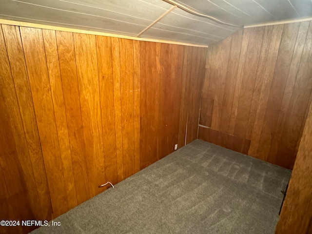 basement featuring carpet flooring and wooden walls