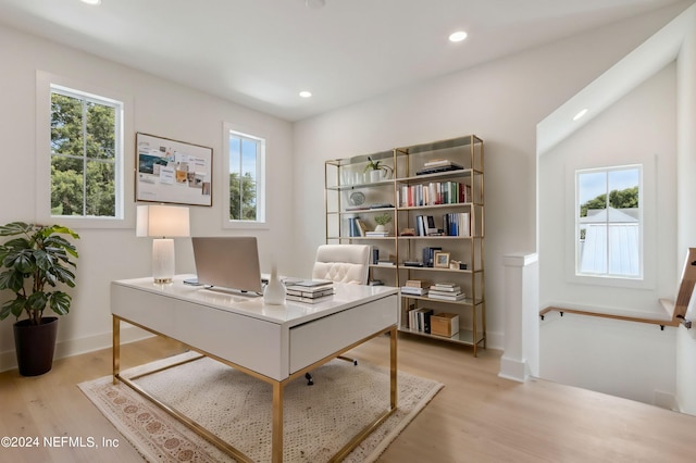 office featuring a wealth of natural light and light wood-type flooring