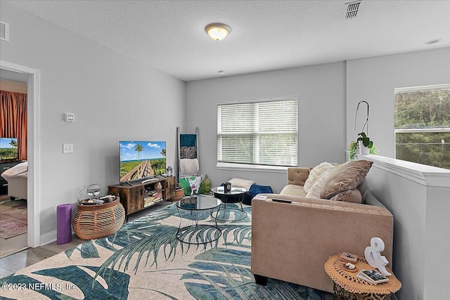 living room with light wood-type flooring and a textured ceiling