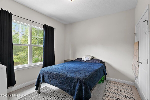 bedroom featuring multiple windows and carpet