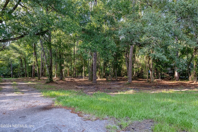 Listing photo 2 for 0 Clearwater Ln, Jacksonville FL 32223