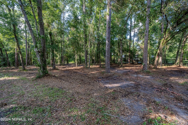 Listing photo 3 for 0 Clearwater Ln, Jacksonville FL 32223