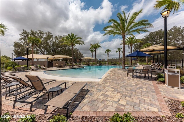 view of swimming pool with a patio area